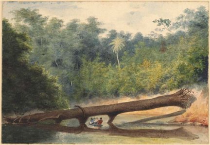 The narrows, Demerara River, 1855, watercolour by James Gay Sawkins