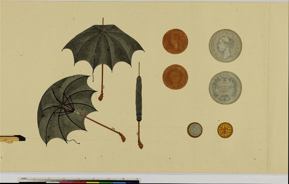 The Mission of Commodore Perry to Japan in 1854 (BM 2013,3002.1 91)