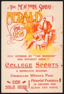 The New York Sunday Herald Sept. 22nd 1895. LCCN2015648043