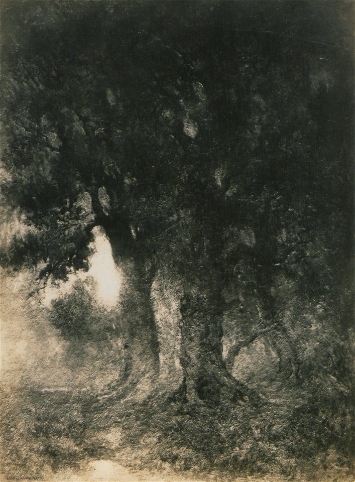 The morning sun (HS85-10-24517)