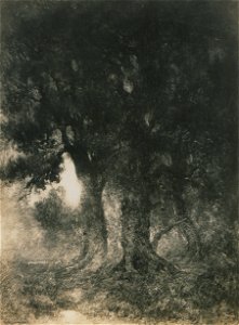 The morning sun (HS85-10-24517)