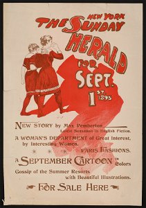 The New York Sunday Herald for Sept. 1st 1895 LCCN2015646105