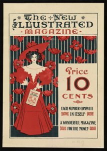 The New Illustrated magazine LCCN2002721216