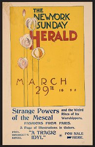 The New York Sunday Herald, March 29th 1896 LCCN2015646103