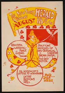 The New York Sunday Herald, August 18th 1895 LCCN2015646109