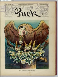 The national bird of prey - J.S. Pughe. LCCN2011645733