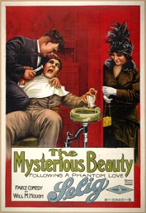 The mysterious beauty Following a phantom love. LCCN2015645269