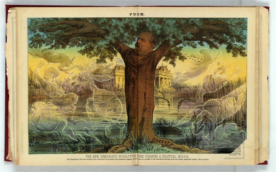 The new Democratic eucalyptus tree purifies a political morass - J. Keppler. LCCN2012645434