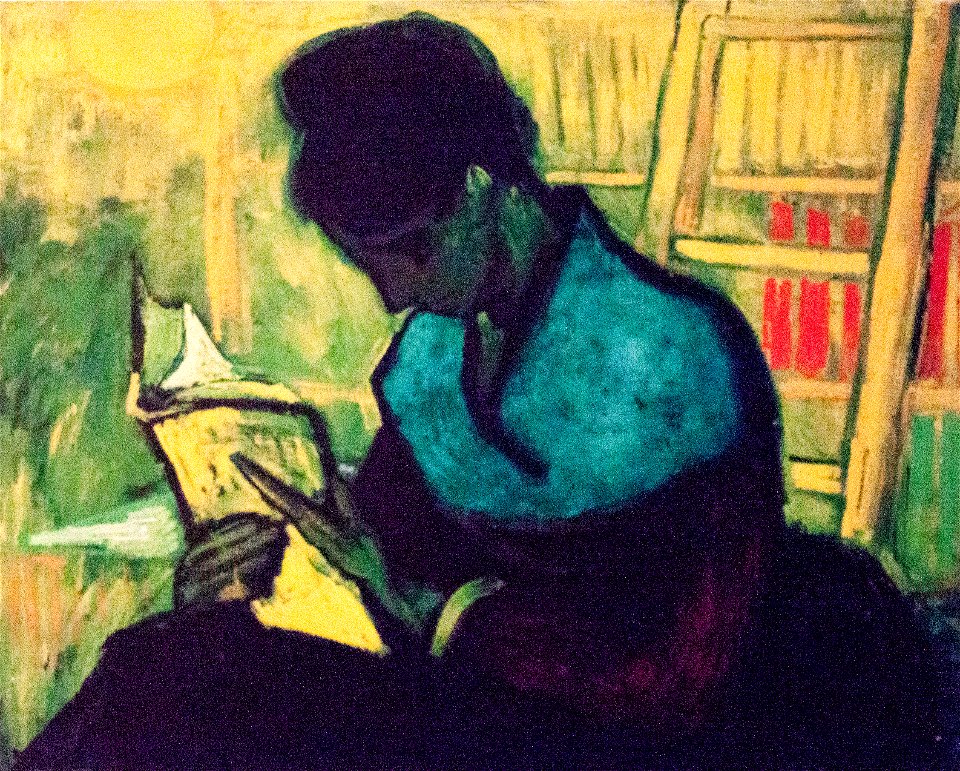 The Novel Reader
