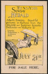 The New York Sunday Herald July 21st. 1895. LCCN2015648041