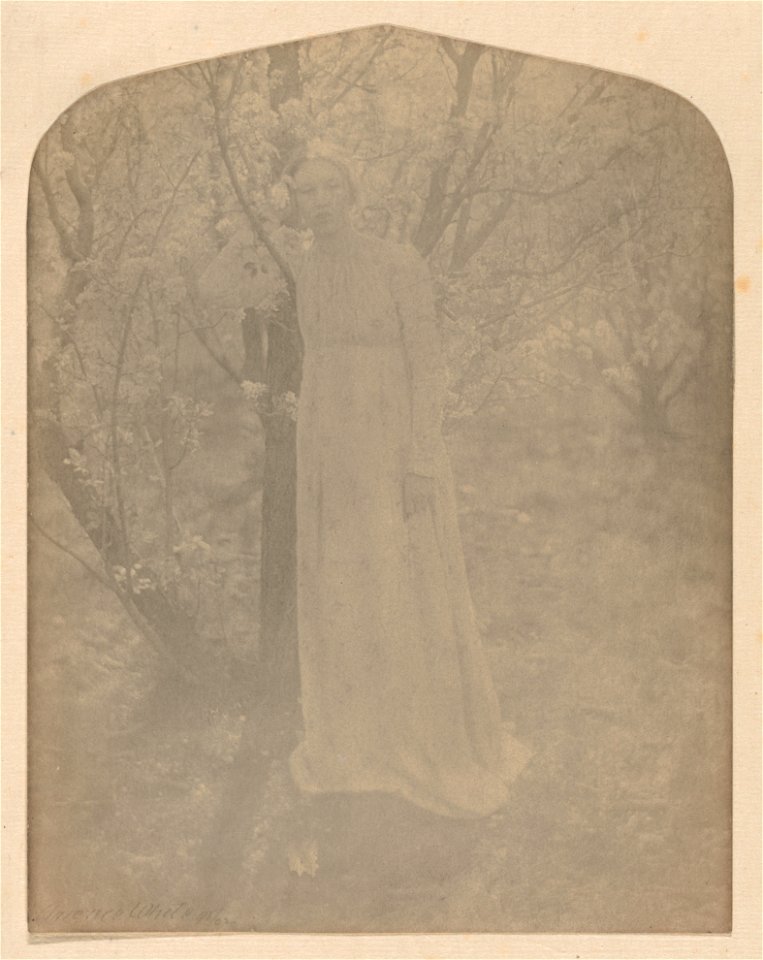 The Orchard MET DP-12774-001