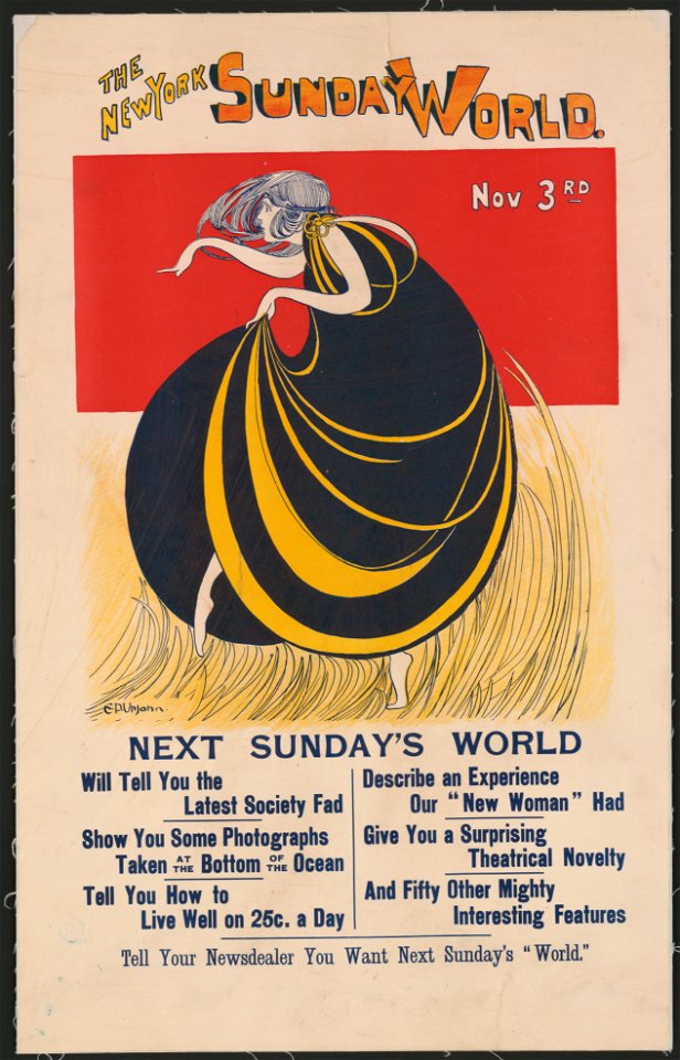 The New York Sunday World, Nov. 3rd LCCN2015647218