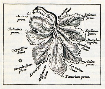 The Peloponnese as a mulberry leaf - Laurenberg Johann - 1661