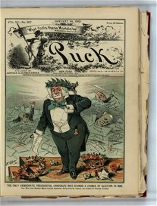 The only Democratic presidential candidate who stands a chance of election in 1884 - F. Opper. LCCN2012645441