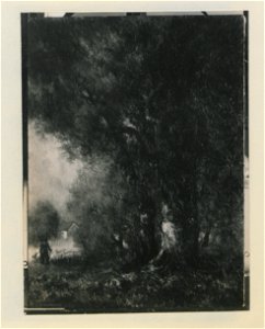 The pasture land (HS85-10-24500) original