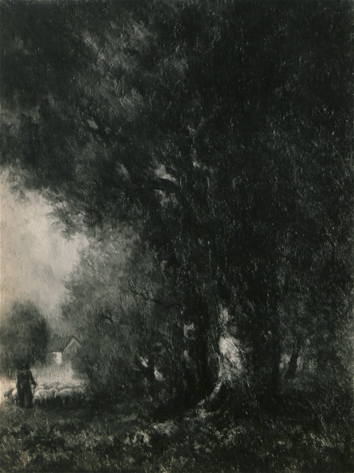 The pasture land (HS85-10-24500)