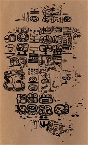 The Paris Codex 14