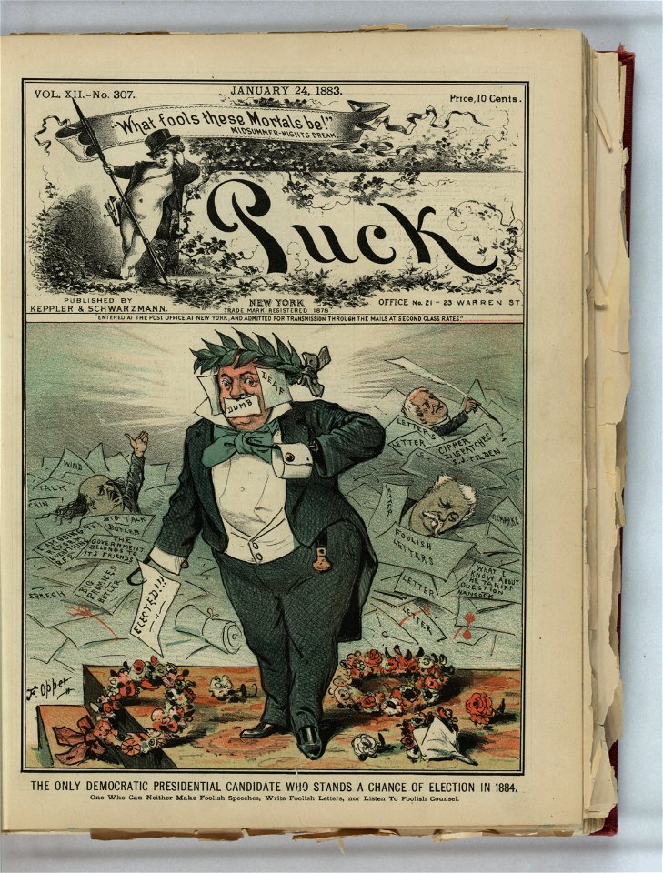 The only Democratic presidential candidate who stands a chance of election in 1884 - F. Opper. LCCN2012645441