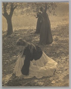 The Orchard MET DP281310