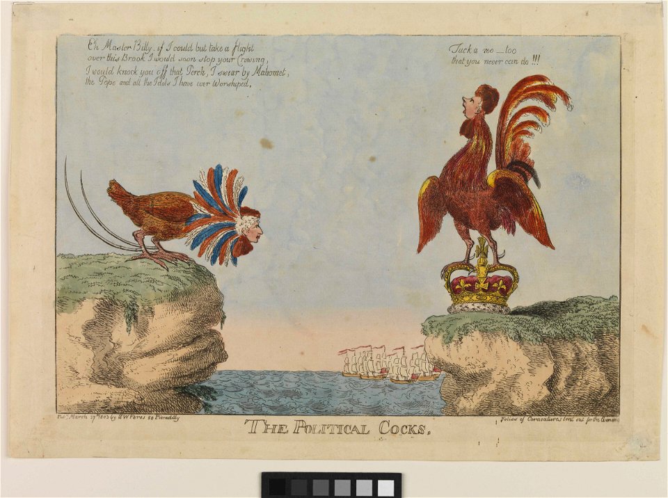 The Political Cocks (caricature) RMG PW3928