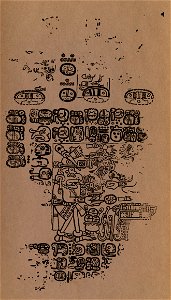 The Paris Codex 11