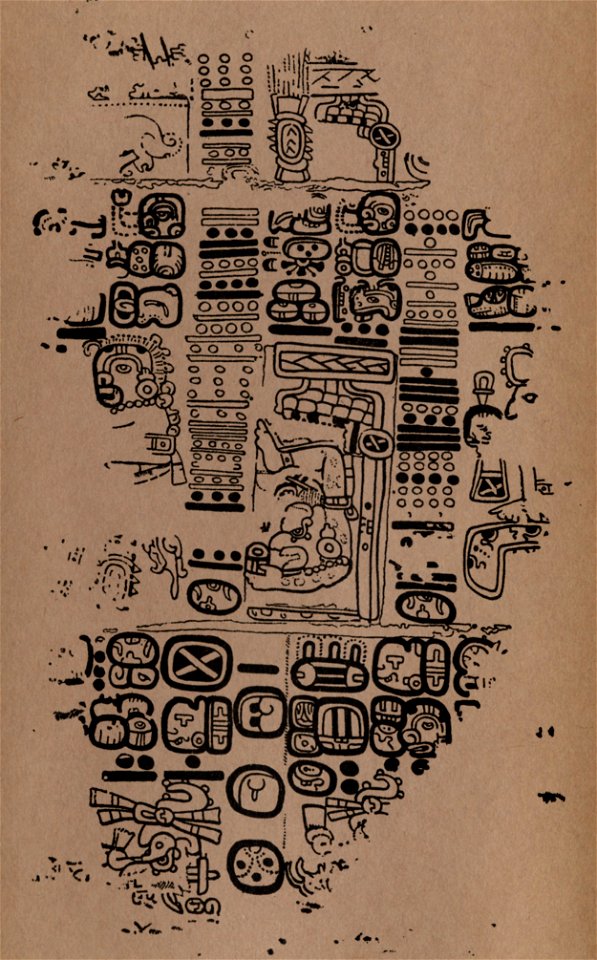 The Paris Codex 15