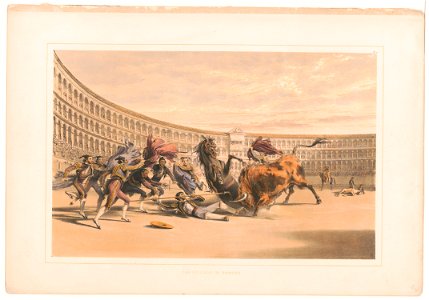The picador in danger LCCN2003677503