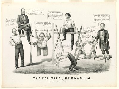 The political gymnasium LCCN2003674595