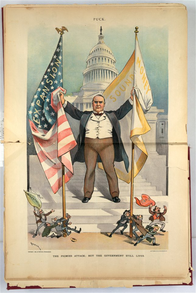 The pigmies attack; but the government still lives - Keppler. LCCN2010651324
