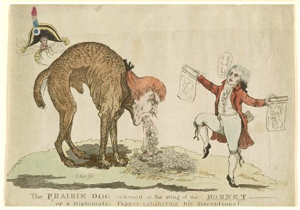 The prairie dog sickened at the sting of the hornet or a diplomatic puppet exhibiting his deceptions - J(ames) Akin, fect. LCCN2002708977
