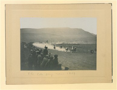 The Polo Pony Race (HS85-10-21796) original