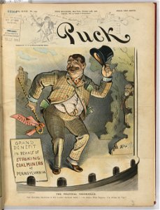 The political vaudeville - Keppler. LCCN2010651339