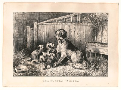The puppies nursery LCCN2017660415