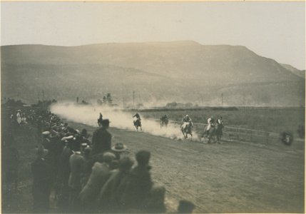 The Polo Pony Race (HS85-10-21796)