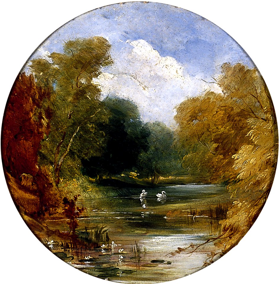 The Plantation at Acomb, York YORAG-714