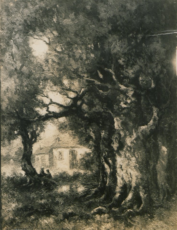 The pool (HS85-10-24497)