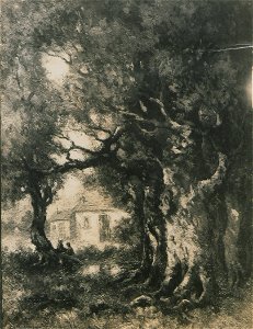 The pool (HS85-10-24497)