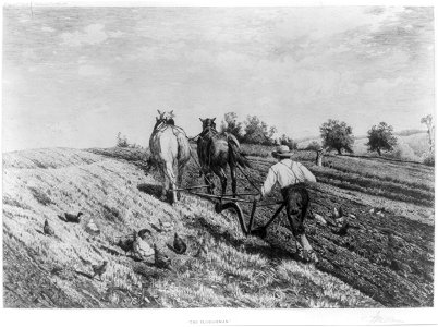 The ploughman LCCN2003672278