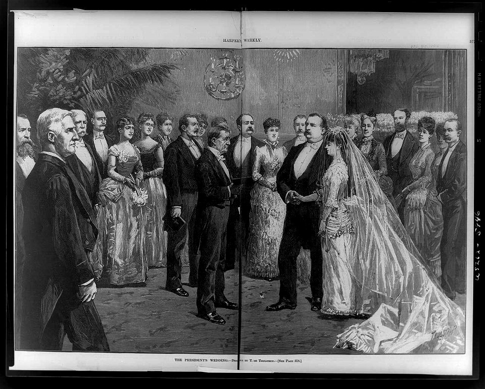 The President's wedding - (drawn) by T. de Thulstrup. LCCN96521736