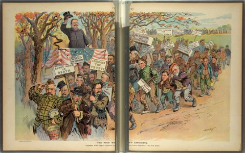 The poor man's candidate - Ehrhart. LCCN2011645568