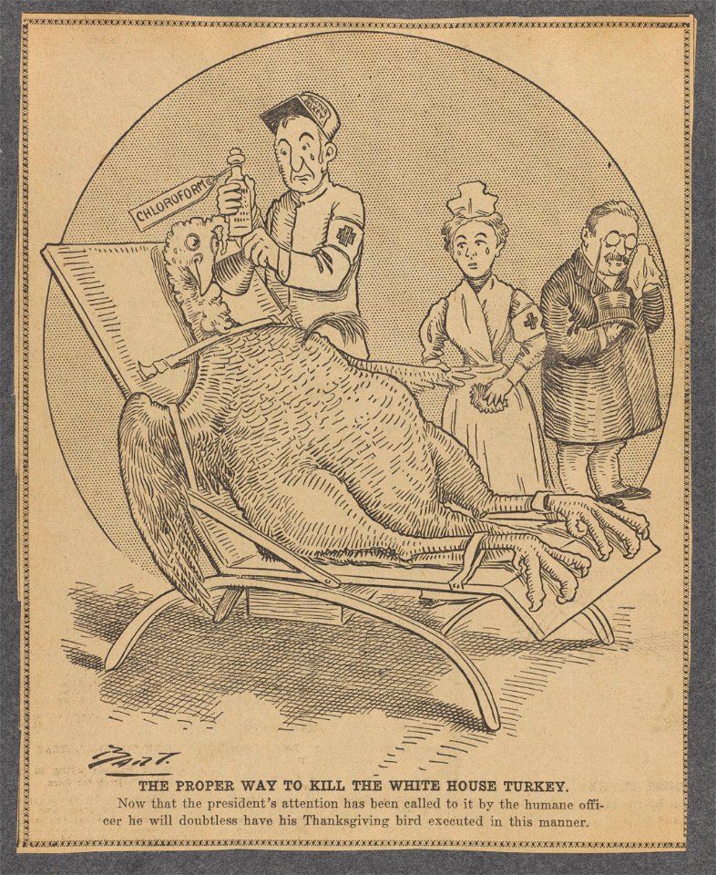 The proper way to kill the White House turkey Now that the president's attention has been called to it by the humane officer he will doubtless have his Thanksgiving bird executed in this LCCN2013651589