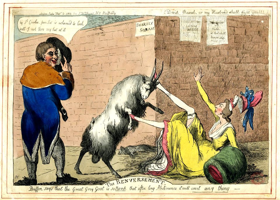 The renversement. Buffon says that the Great Grey Goat is so Rank that after long Abstinence it will court any thing (BM 1935,0522.8.107)