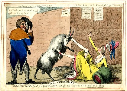 The renversement. Buffon says that the Great Grey Goat is so Rank that after long Abstinence it will court any thing (BM 1935,0522.8.107)