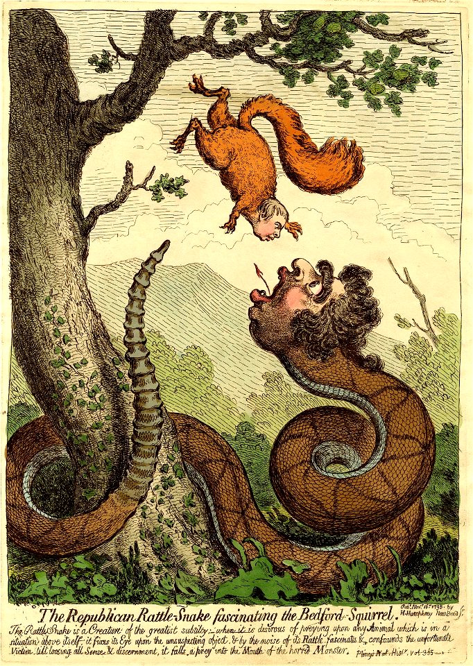 The Republican rattle-snake fascinating the Bedford-Squirrel. (BM 1868,0822.7139)