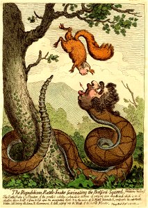 The Republican rattle-snake fascinating the Bedford-Squirrel. (BM 1868,0822.7139)