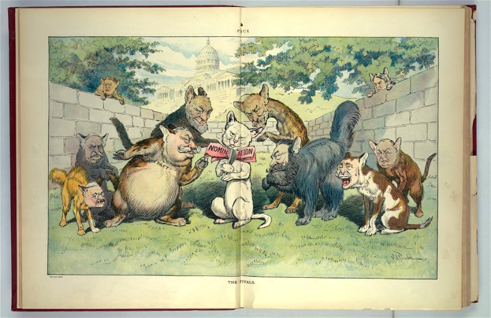 The rivals - J.S. Pughe. LCCN2011647279