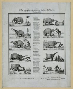 The revengeful and chivalrous elephant of Africa LCCN2003680582