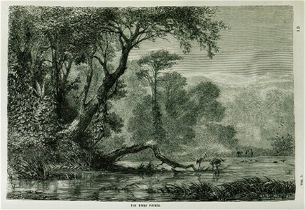 The River Phasis - Ainsworth William Francis - 1870