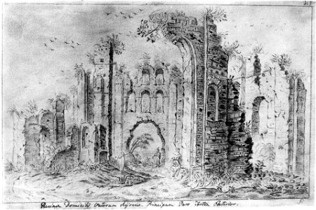 The ruins of the church, supposedly the Fedor of Tyrone by Westerveld (2)
