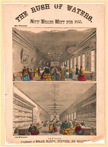 The rush of waters. New years gift for 1855 LCCN2003678035